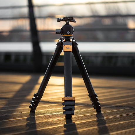 Die limitierte Black Edition des beliebten Lion Rock Traveler Pro von Rollei