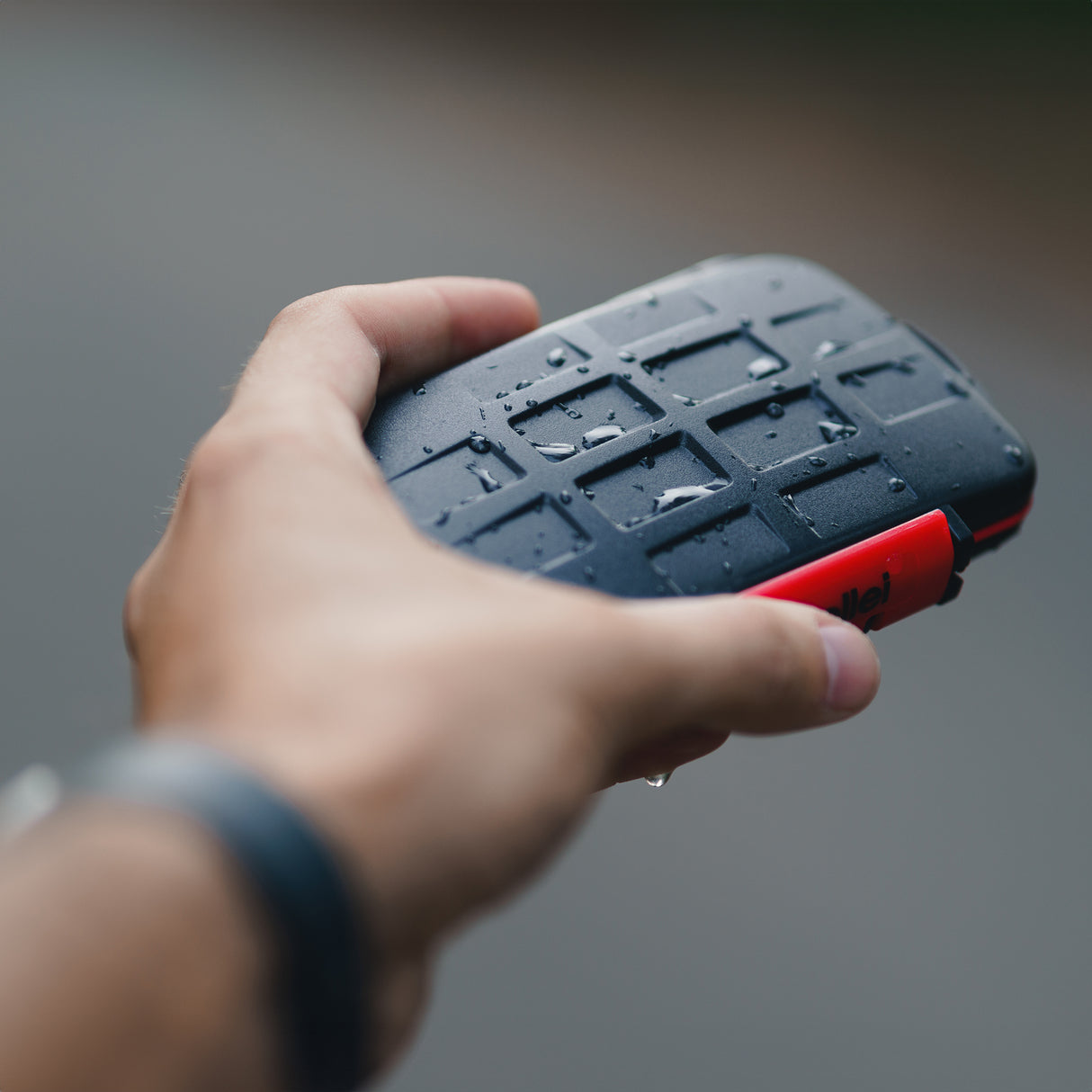 MicroSD/SD card holder