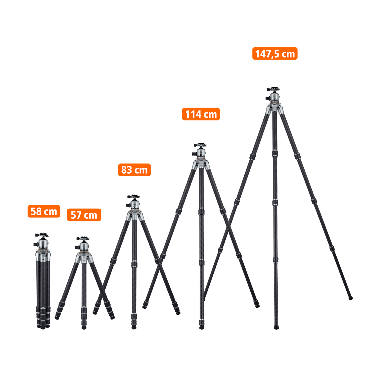 Lion rock pro including tripod head