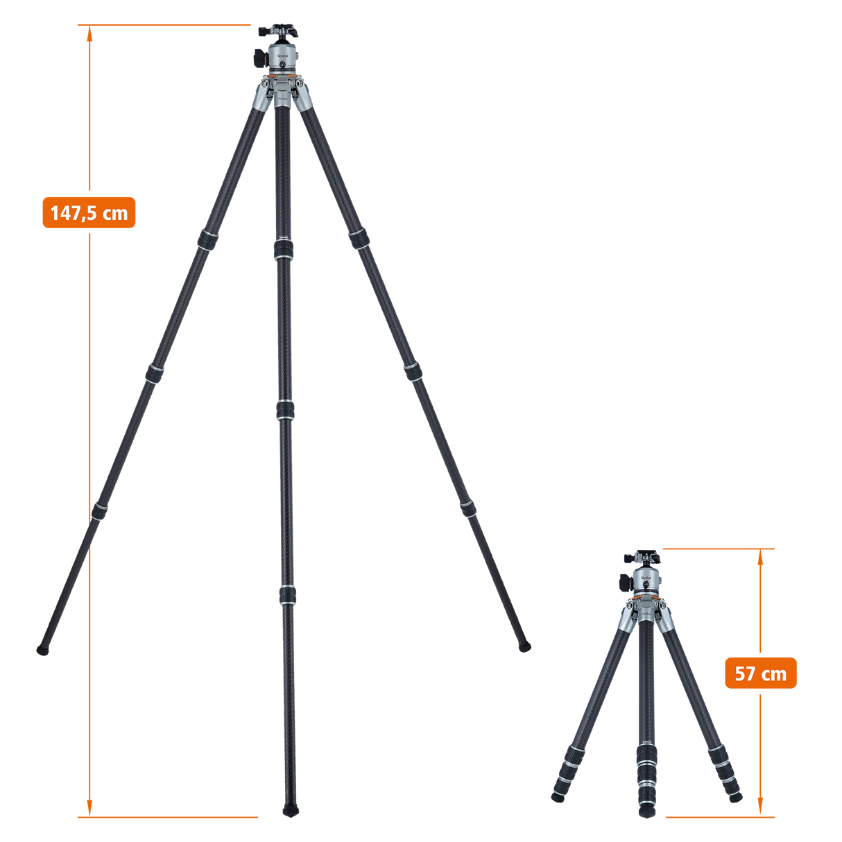 Lion rock pro including tripod head