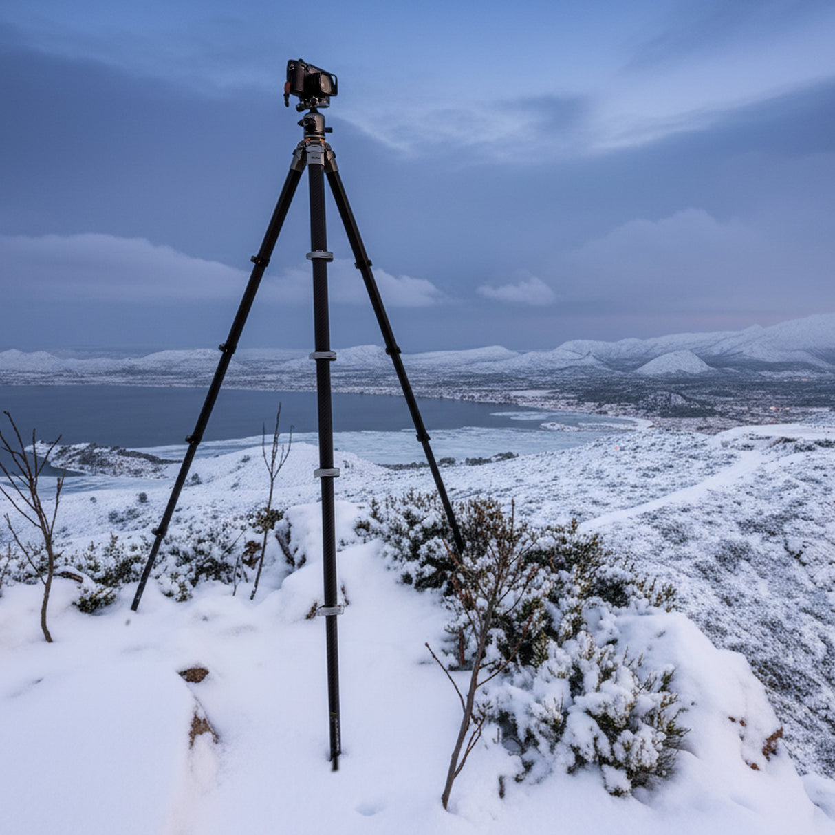 Lion Rock Traveler Pro including tripod head