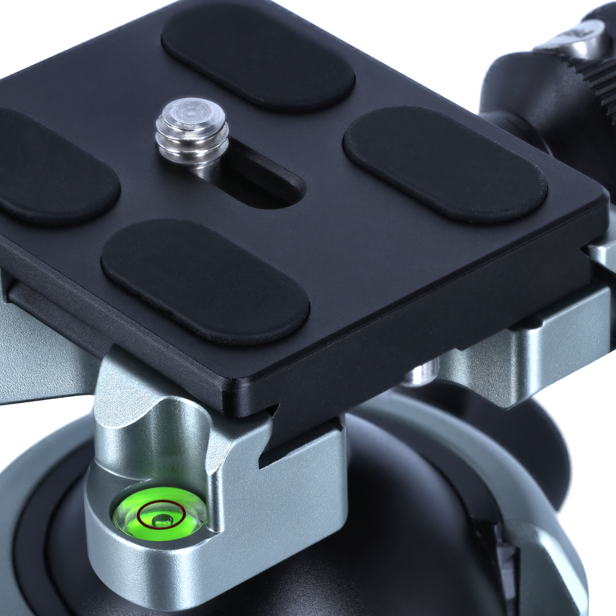 Schnellwechselplatte | für Lion Rock Pro Serie | Arca-Swiss