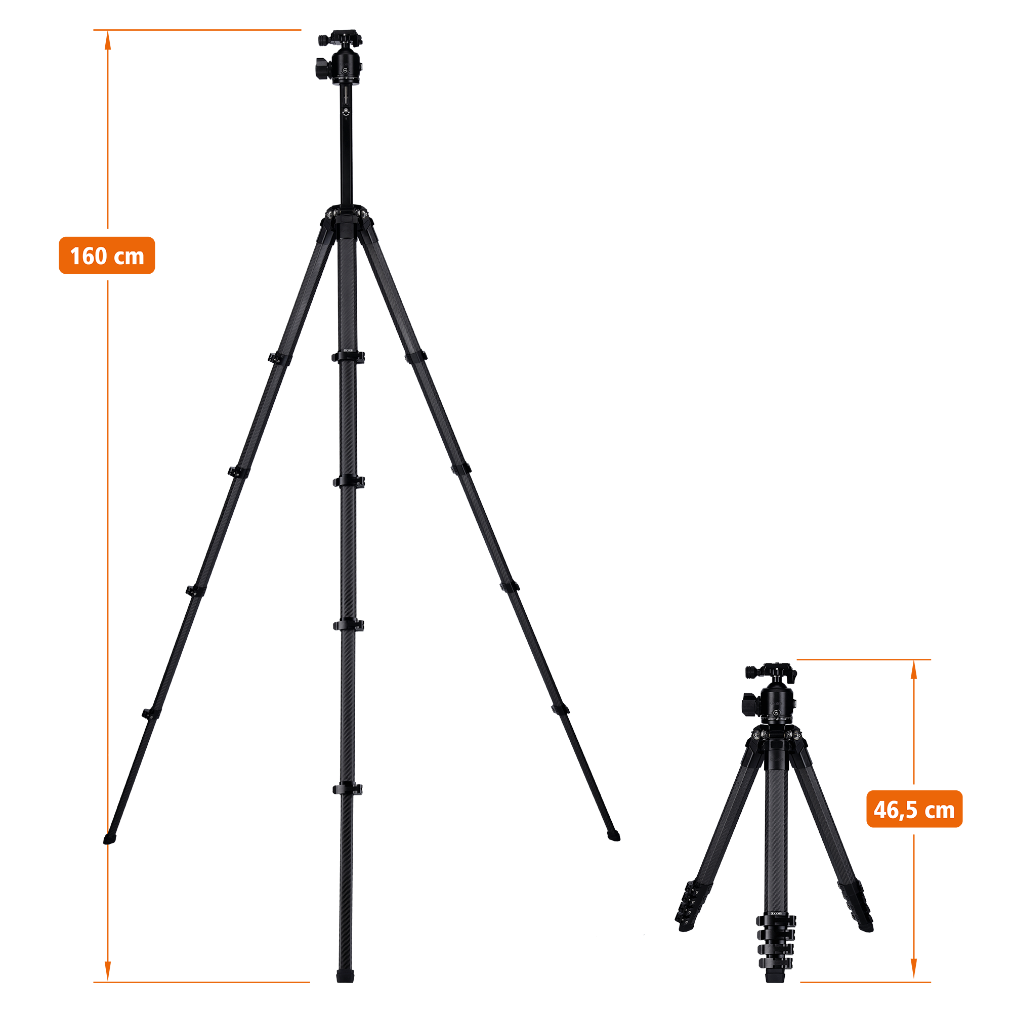 Lion Rock Traveler Pro incl. Ball Head | All Black