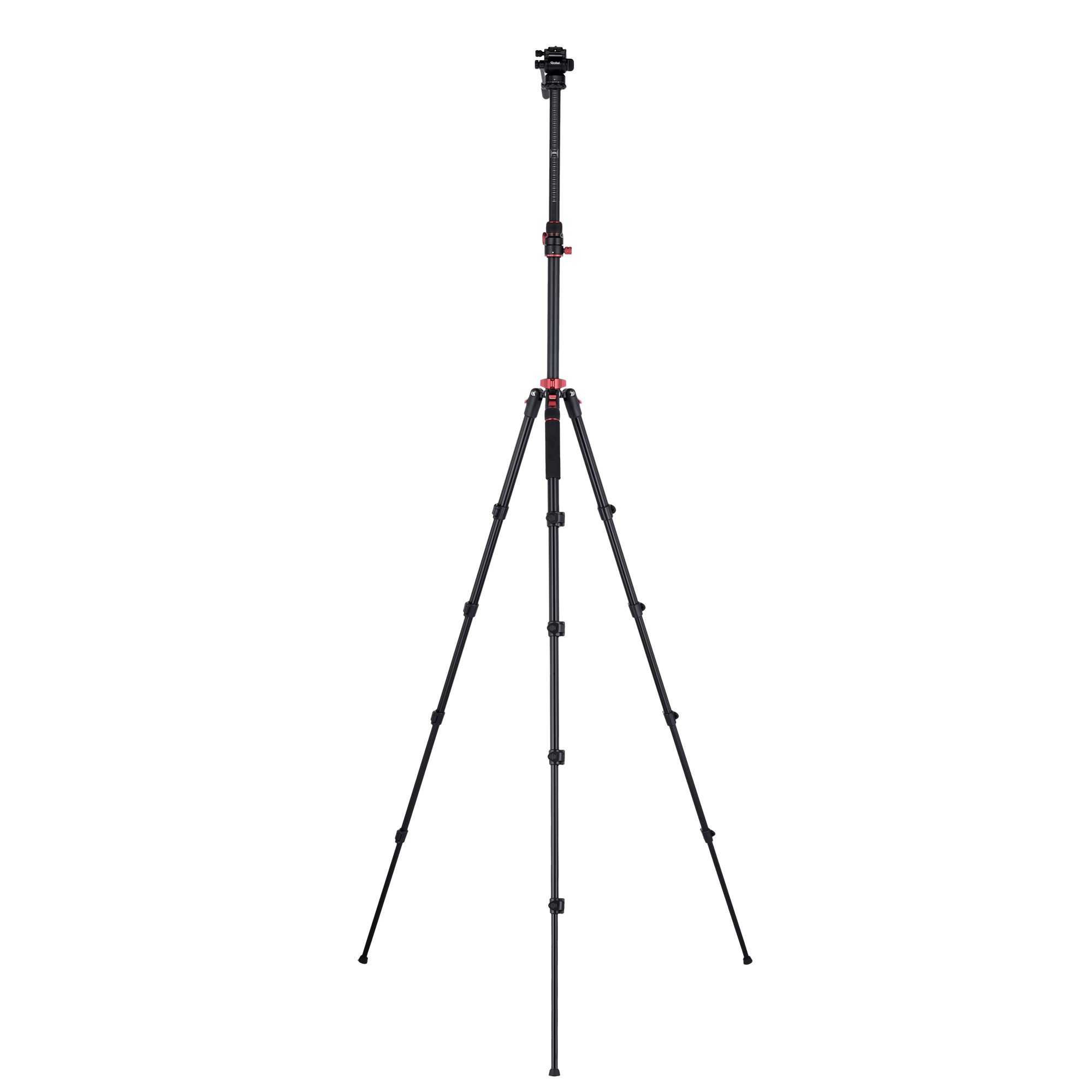 Tripod I Compact Traveler No.2 XL I Video