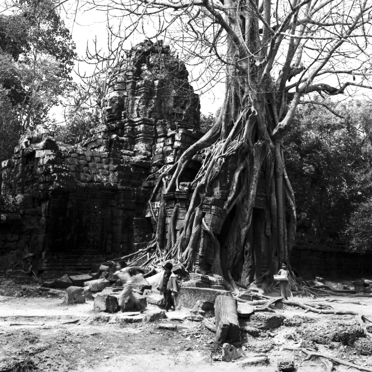 Retro black and white negative film | 35 mm & roll film | ISO 80/400