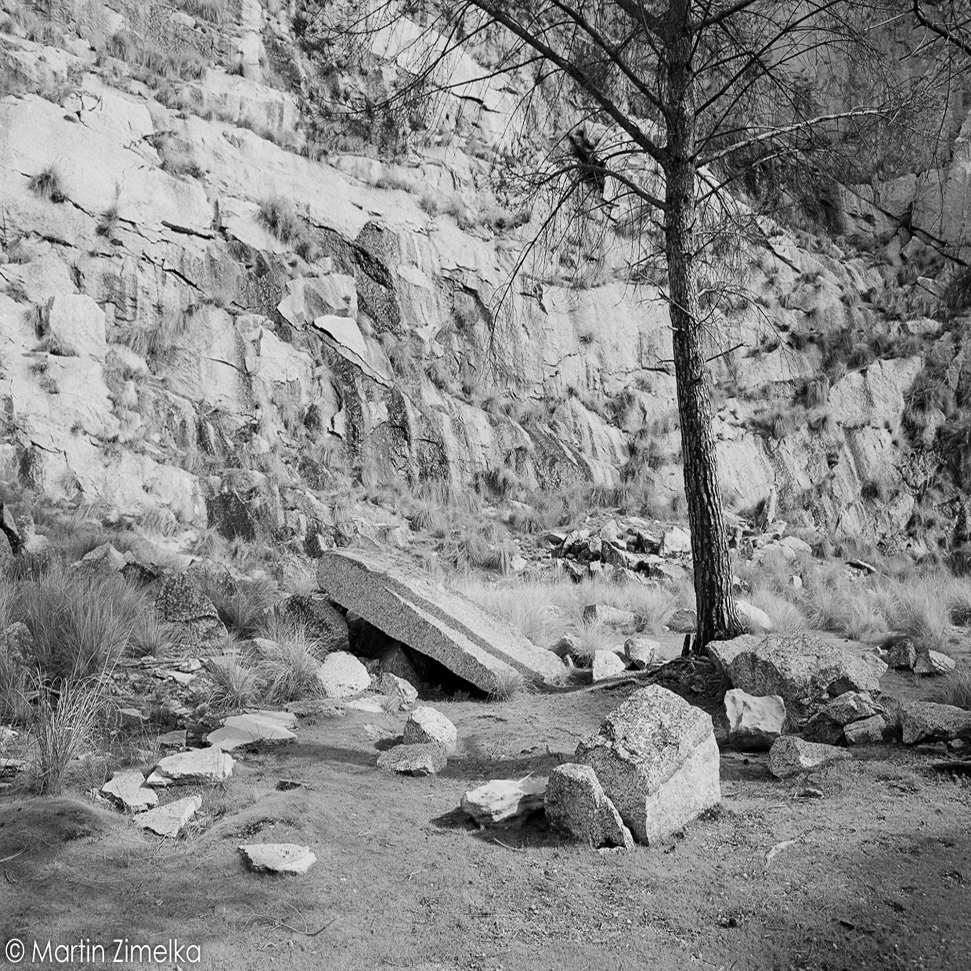 Ortho 25 Plus Black-and-White Negative Film | 35mm | 36 Exposures | ISO 25