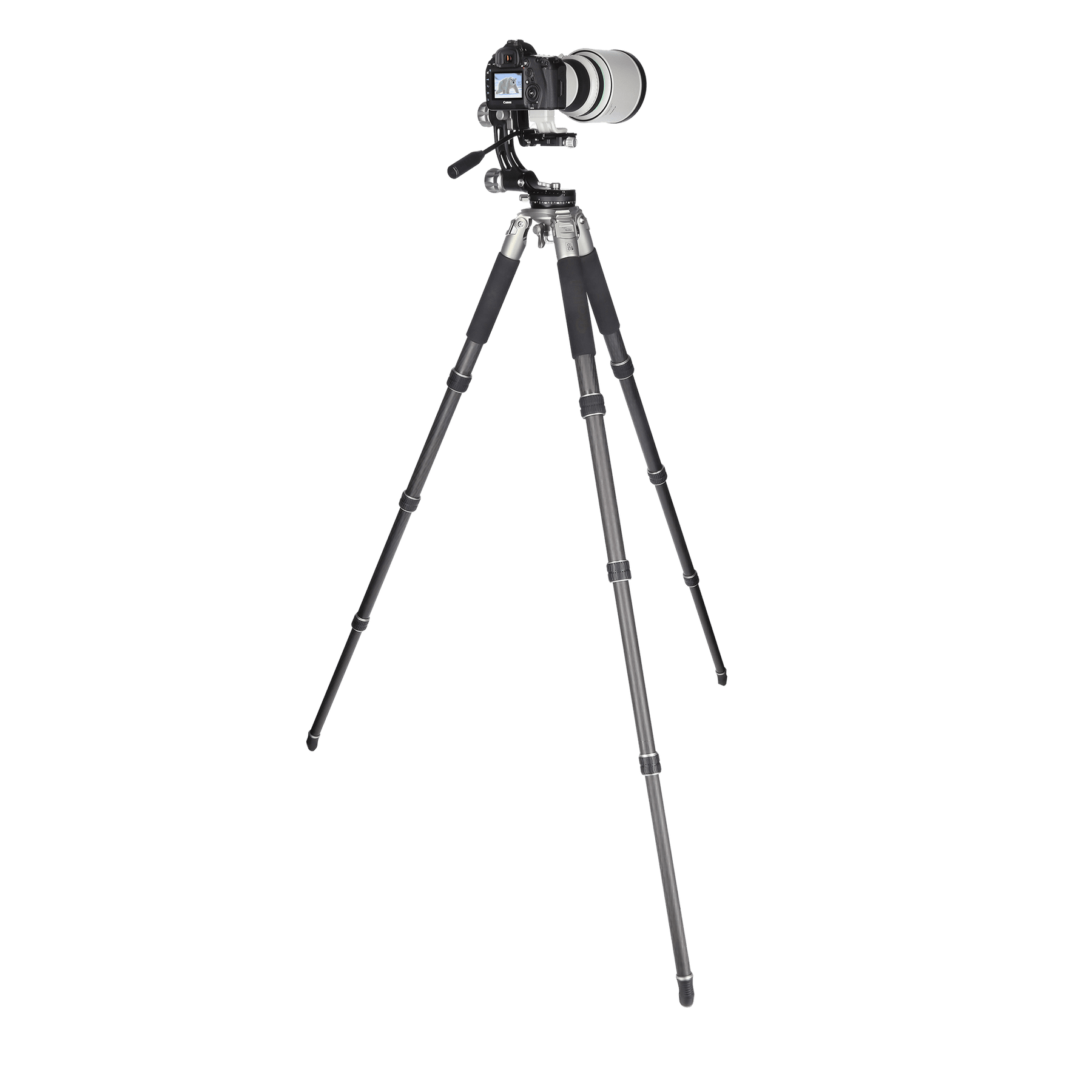 Rollei Stative Lion Rock Gimbal Stativ