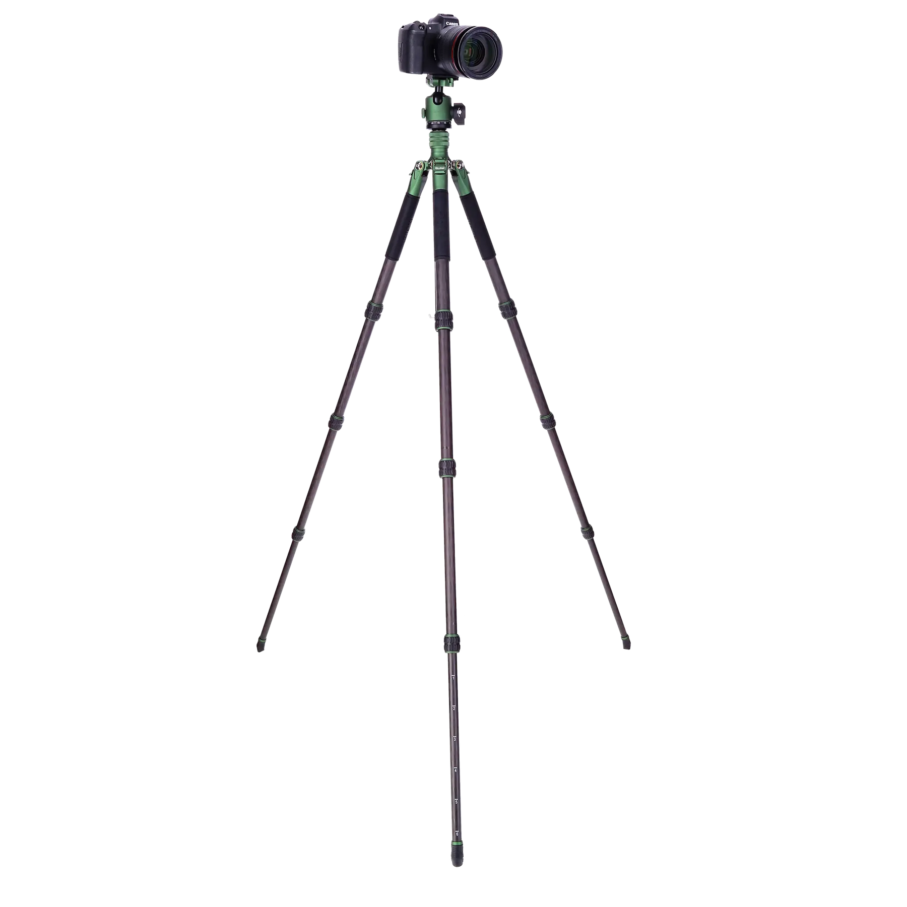 Rollei Stative Lion Rock Traveler L Green Edition - Carbon Stativ