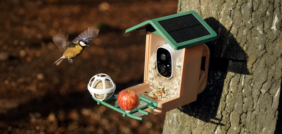 Vogelhäuschen