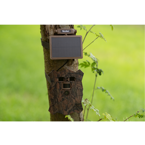 Trail Camera 4K WiFi Slim
