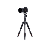 Tripod | Carbon | Compact Traveler No. 1