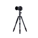 Tripod | Aluminum | C5i