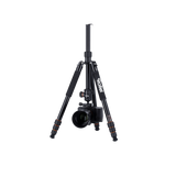 Tripod | Aluminum | C5i