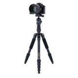 Compact Traveler No. 1 - aluminum tripod