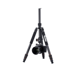 Stativ | Carbon | C5i