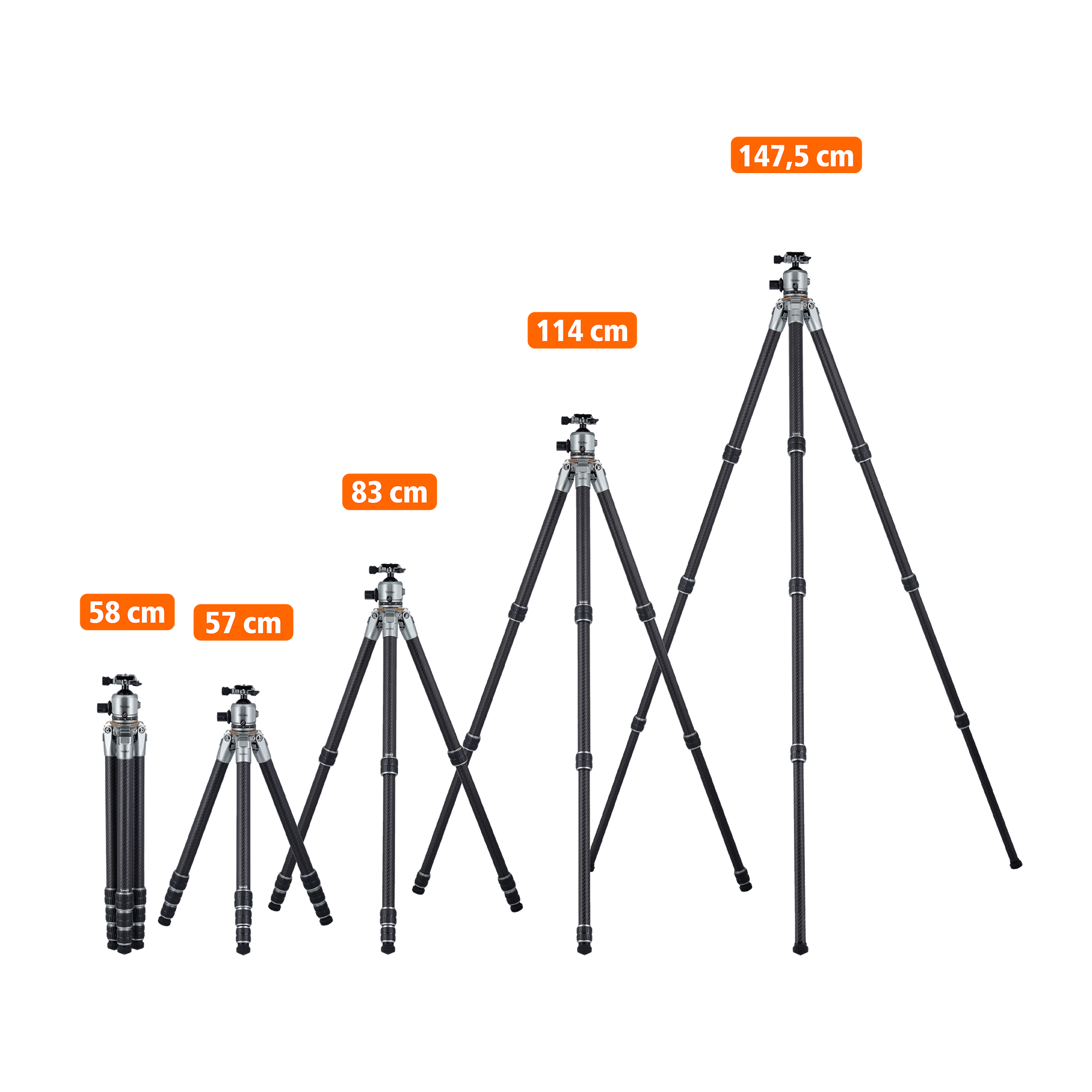 Lion Rock Pro incl. tripod head