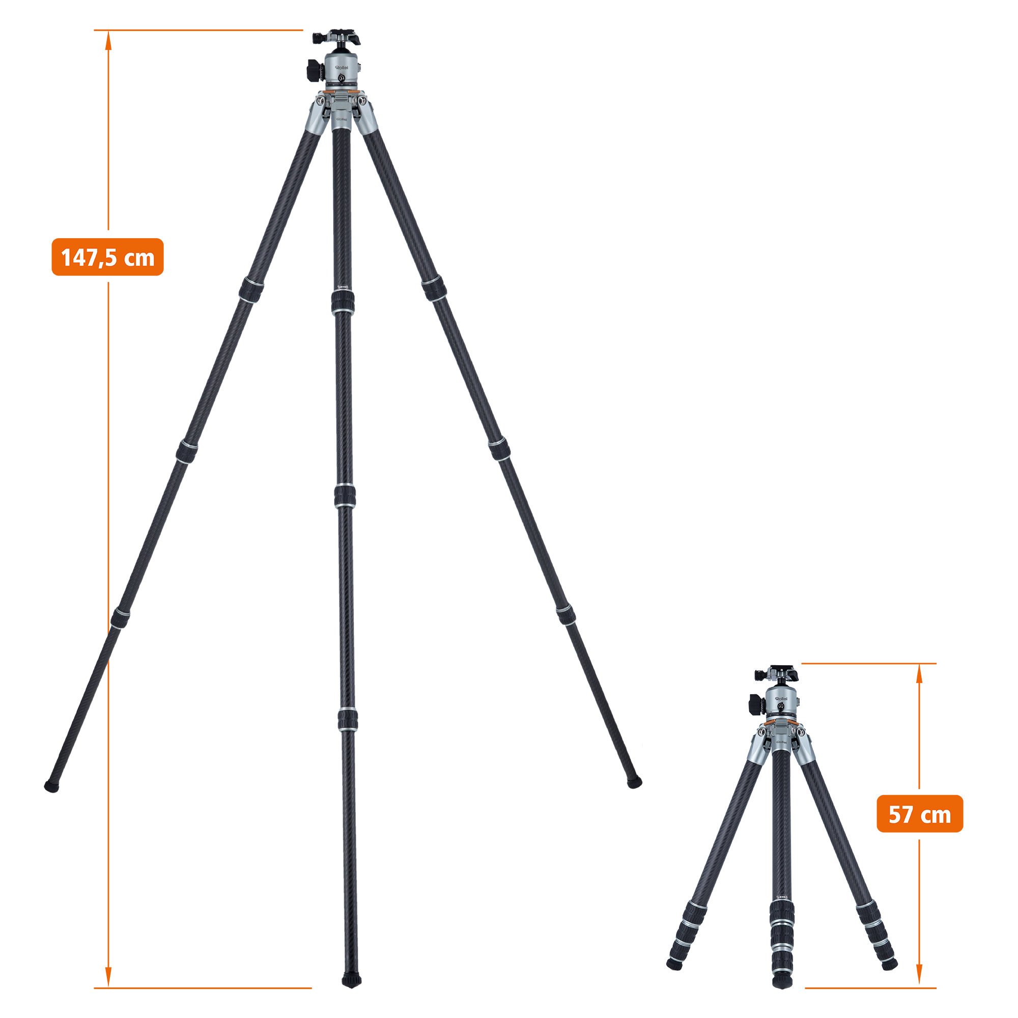 Lion Rock Pro incl. tripod head