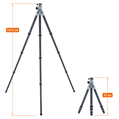 Lion Rock Pro incl. tripod head