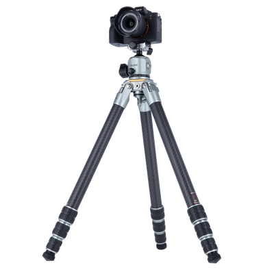 Lion Rock Pro incl. tripod head