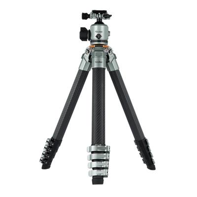 Lion Rock Traveler Pro inkl. Stativkopf