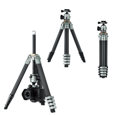 Lion Rock Traveler Pro inkl. Stativkopf