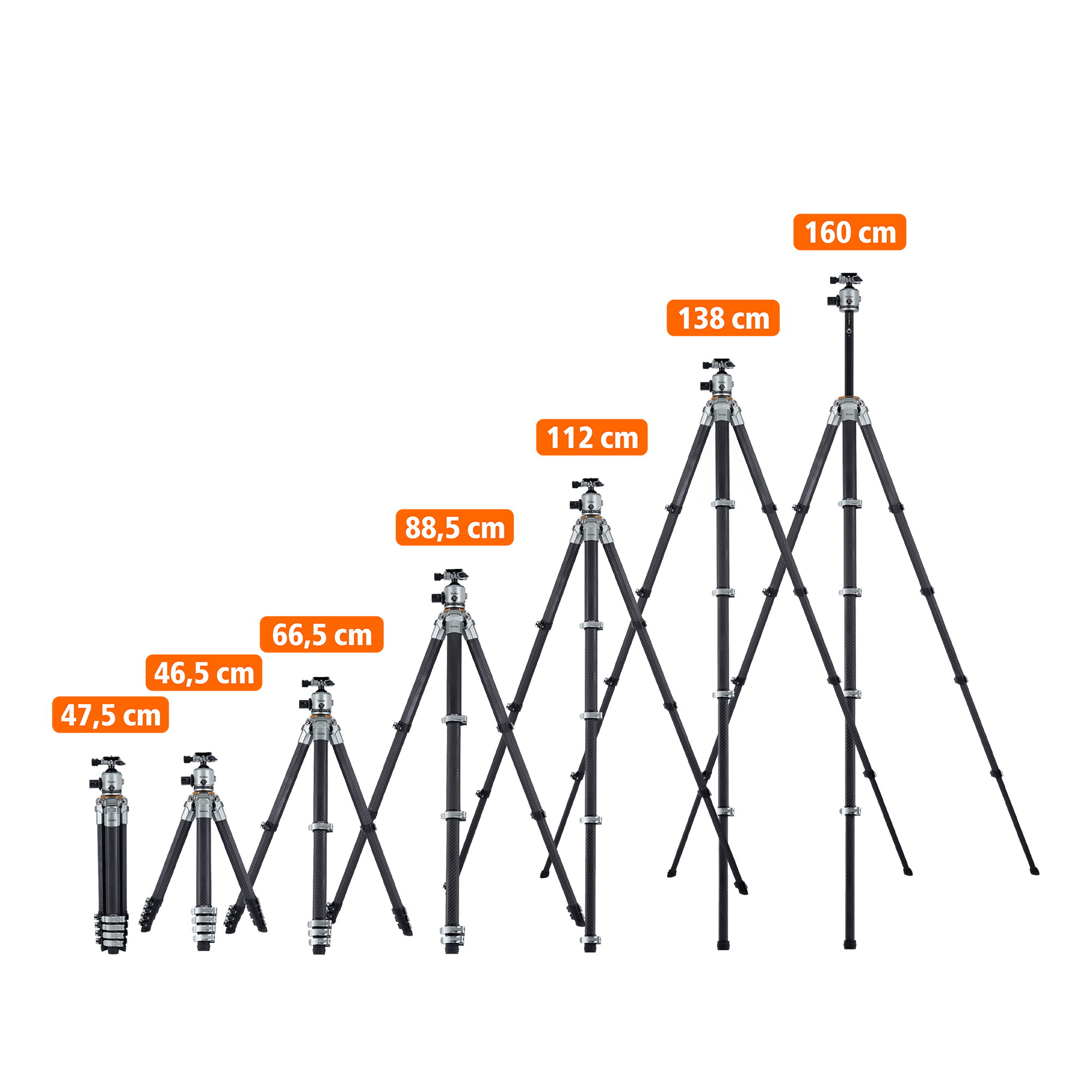 Lion Rock Traveler Pro inkl. Stativkopf