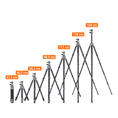 Lion Rock Traveler Pro inkl. Stativkopf