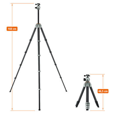 Lion Rock Traveler Pro inkl. Stativkopf