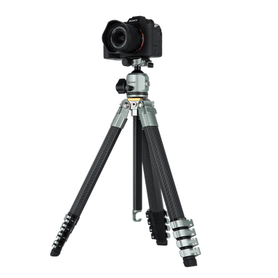 Lion Rock Traveler Pro inkl. Stativkopf