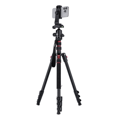 B-Ware: Compact Traveler No. 2