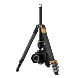 Lion Rock Traveler Pro Black-Edition