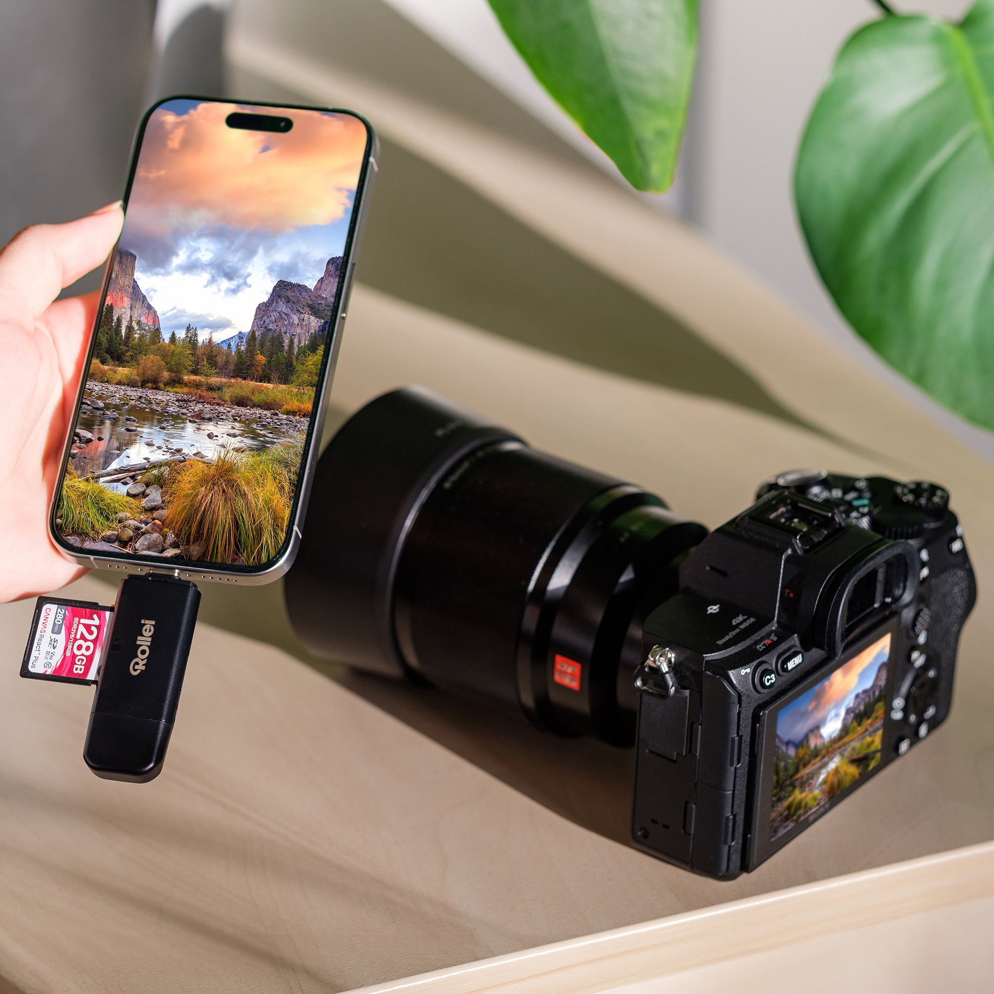 2-in-1 Kartenlesegerät | SD & microSD