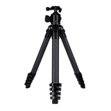 Lion Rock Traveler Pro All Black