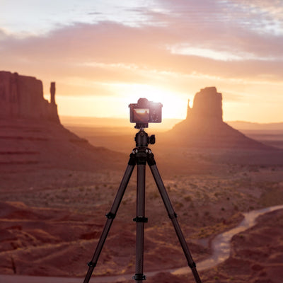 Lion Rock Traveler Pro incl. Ball Head | All Black