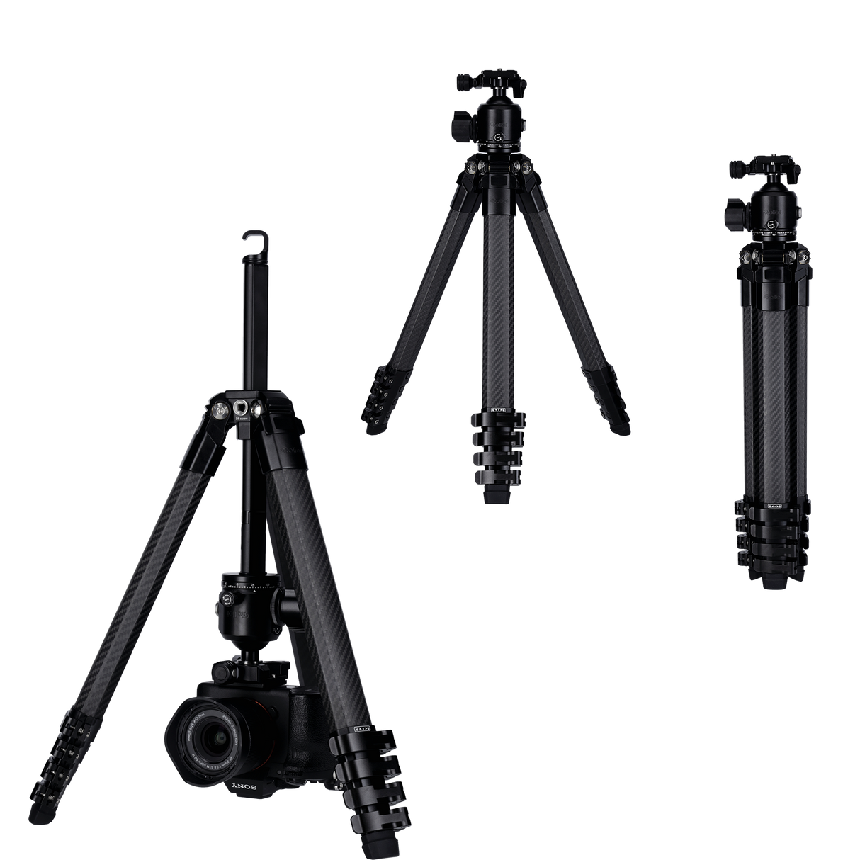 Lion Rock Traveler Pro All Black