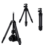 Lion Rock Traveler Pro All Black