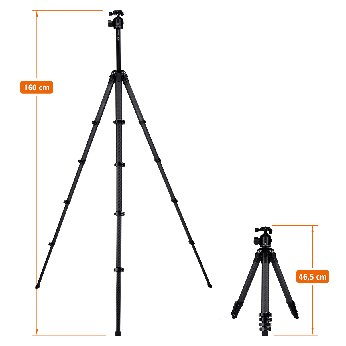 Lion Rock Traveler Pro All Black