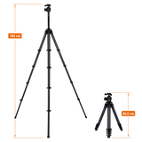 Lion Rock Traveler Pro All Black