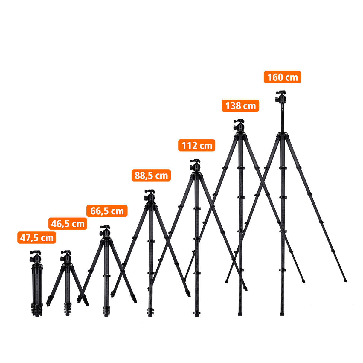 Lion Rock Traveler Pro All Black