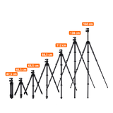 Lion Rock Traveler Pro All Black