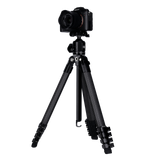 Lion Rock Traveler Pro All Black