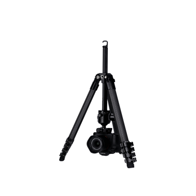 Lion Rock Traveler Pro incl. Ball Head | All Black