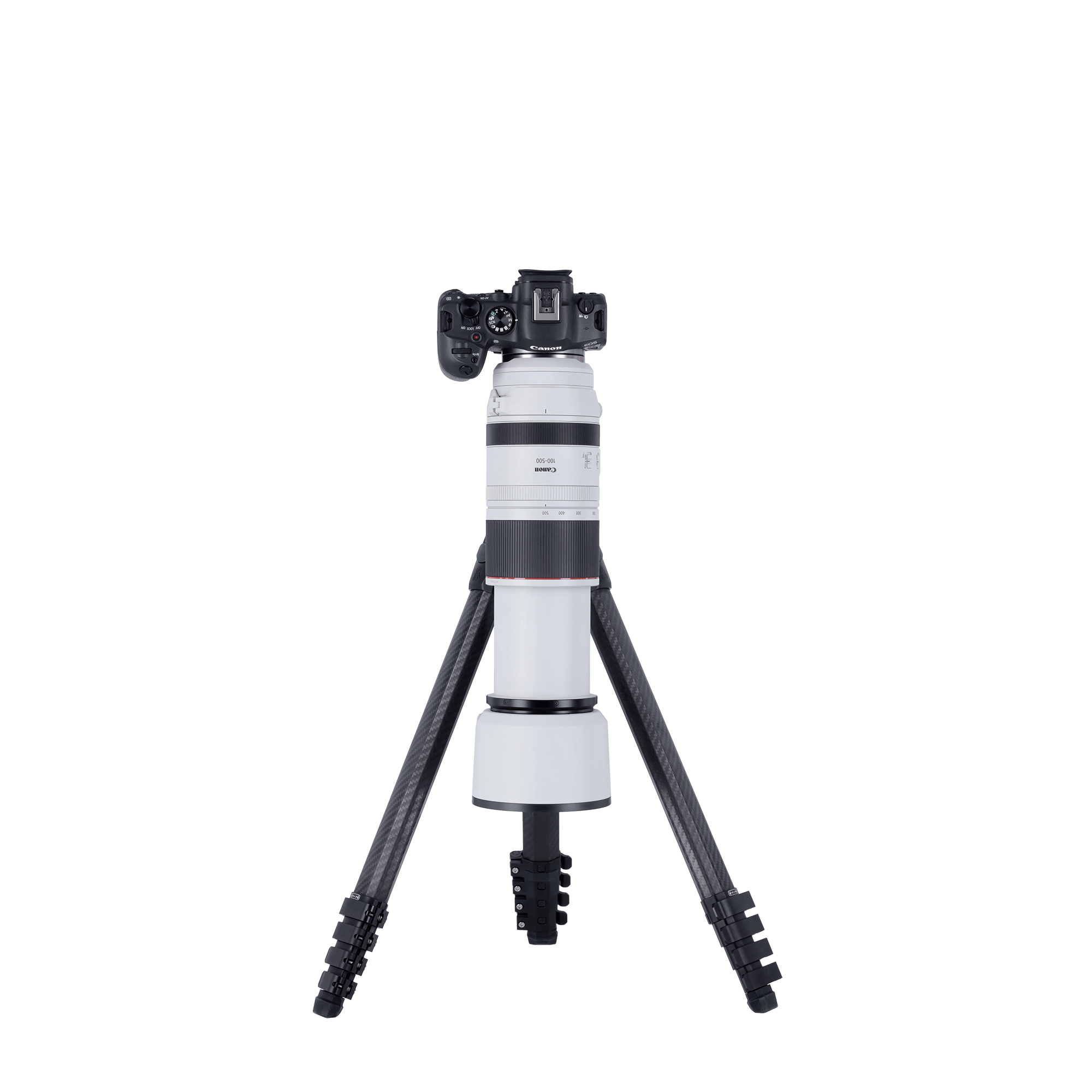 Lion Rock Pro Instinct inkl. Stativkopf