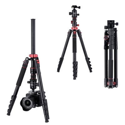 Stativ I Compact Traveler No.2 XL I Foto