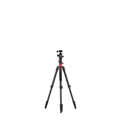 Stativ I Compact Traveler No.2 XL I Foto