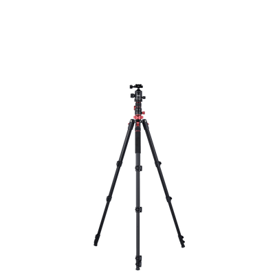 Stativ I Compact Traveler No.2 XL I Foto