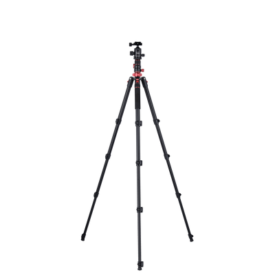 Stativ I Compact Traveler No.2 XL I Foto