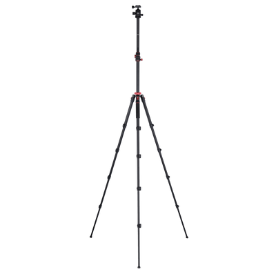 Stativ I Compact Traveler No.2 XL I Foto