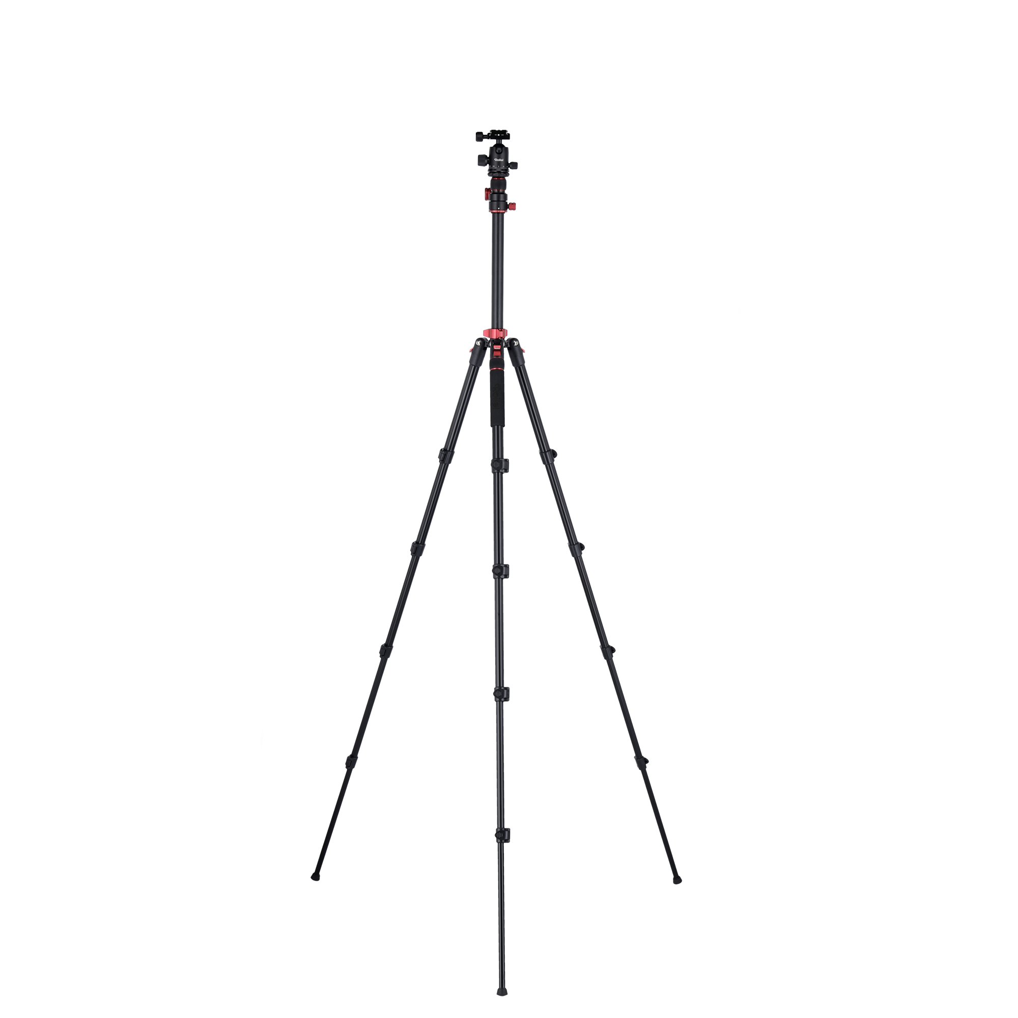 Stativ I Compact Traveler No.2 XL I Foto