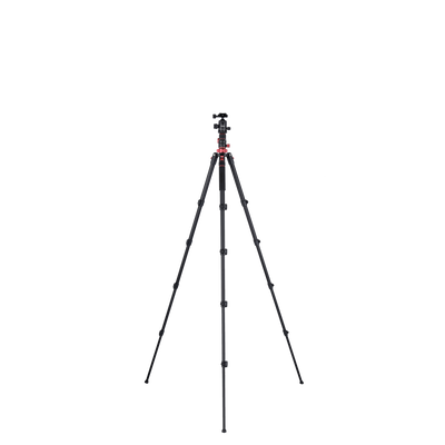 Stativ I Compact Traveler No.2 XL I Foto